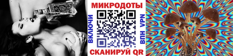 Галлюциногенные грибы GOLDEN TEACHER  Купить закладки  Гаврилов Посад 